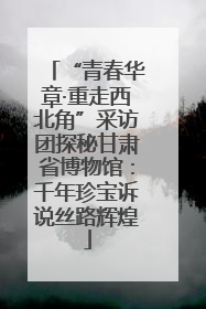 “青春华章·重走西北角”采访团探秘甘肃省博物馆：千年珍宝诉说丝路辉煌