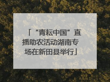“青耘中国”直播助农活动湖南专场在新田县举行
