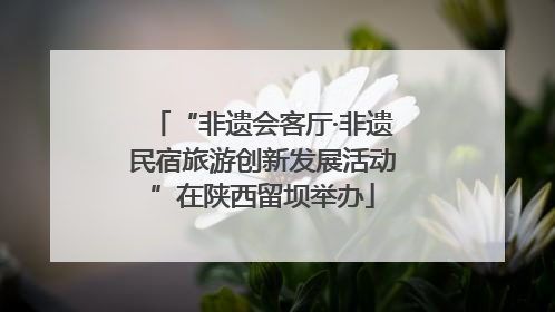 “非遗会客厅·非遗民宿旅游创新发展活动”在陕西留坝举办