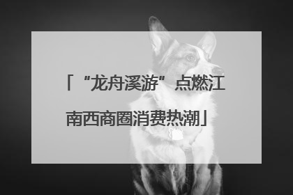 “龙舟溪游”点燃江南西商圈消费热潮