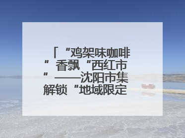 “鸡架味咖啡”香飘“西红市”——沈阳市集解锁“地域限定”消费新场景