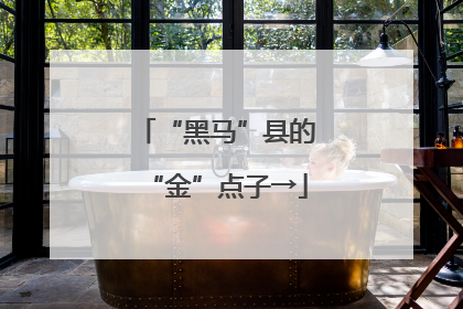 “黑马”县的“金”点子→