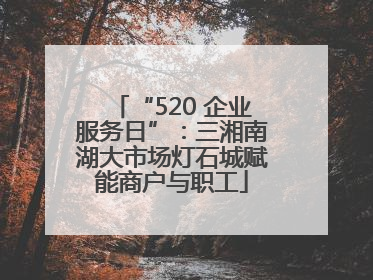 “520 企业服务日”：三湘南湖大市场灯石城赋能商户与职工