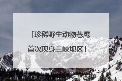 珍稀野生动物苍鹰首次现身三峡坝区