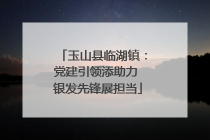 玉山县临湖镇：党建引领添助力 银发先锋展担当