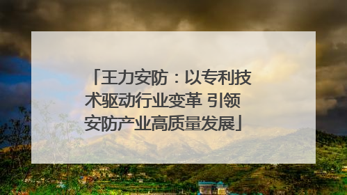 王力安防：以专利技术驱动行业变革 引领安防产业高质量发展