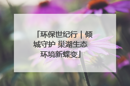 环保世纪行｜倾城守护 巢湖生态环境新蝶变