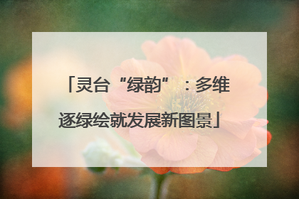 灵台“绿韵”：多维逐绿绘就发展新图景