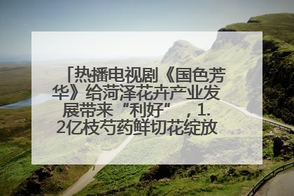 热播电视剧《国色芳华》给菏泽花卉产业发展带来“利好”，1.2亿枝芍药鲜切花绽放“国色芳华”