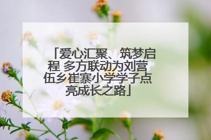 爱心汇聚、筑梦启程 多方联动为刘营伍乡崔寨小学学子点亮成长之路