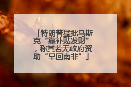 特朗普猛批马斯克“靠补贴发财”，称其若无政府资助“早回南非”