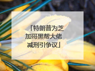 特朗普为芝加哥黑帮大佬减刑引争议