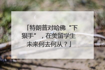 特朗普对哈佛“下狠手”，在美留学生未来何去何从？