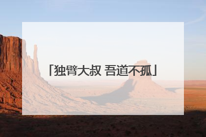 独臂大叔 吾道不孤