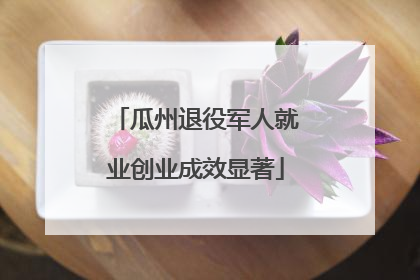 瓜州退役军人就业创业成效显著