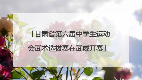 甘肃省第六届中学生运动会武术选拔赛在武威开赛