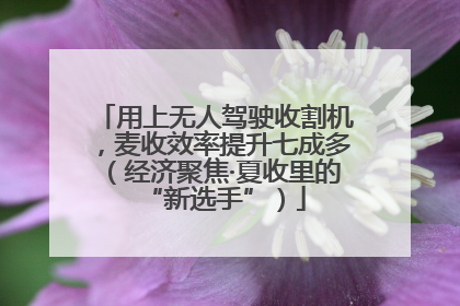 用上无人驾驶收割机，麦收效率提升七成多（经济聚焦·夏收里的“新选手”）