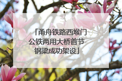 甬舟铁路西堠门公铁两用大桥首节钢梁成功架设