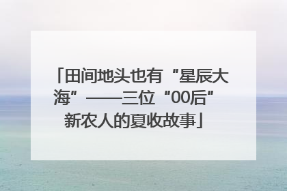 田间地头也有“星辰大海”——三位“00后”新农人的夏收故事