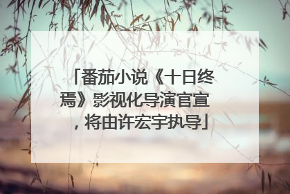 番茄小说《十日终焉》影视化导演官宣，将由许宏宇执导