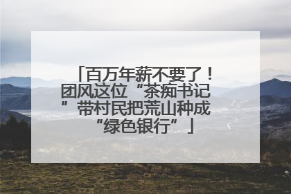 百万年薪不要了！团风这位“茶痴书记”带村民把荒山种成“绿色银行”