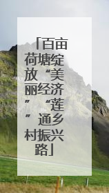 百亩荷塘绽放“美丽经济”“莲”通乡村振兴路