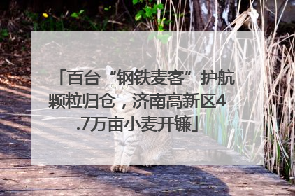 百台“钢铁麦客”护航颗粒归仓，济南高新区4.7万亩小麦开镰
