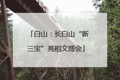 白山：长白山“新三宝”亮相文博会