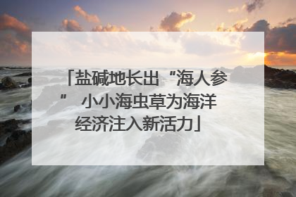 盐碱地长出“海人参” 小小海虫草为海洋经济注入新活力