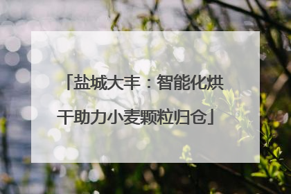 盐城大丰：智能化烘干助力小麦颗粒归仓