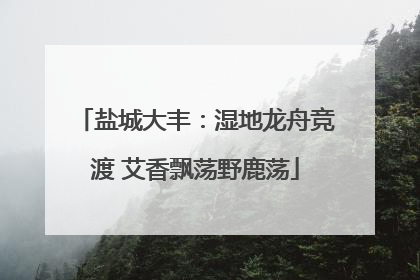 盐城大丰：湿地龙舟竞渡 艾香飘荡野鹿荡