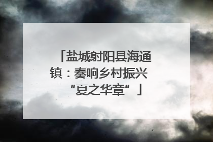 盐城射阳县海通镇：奏响乡村振兴“夏之华章”