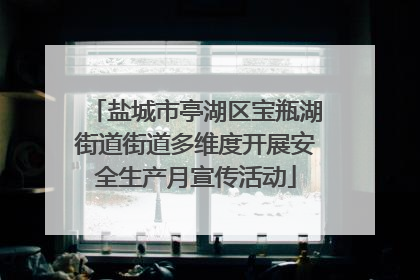 盐城市亭湖区宝瓶湖街道街道多维度开展安全生产月宣传活动