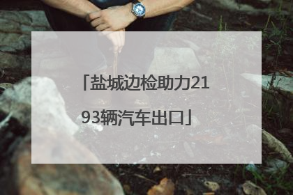 盐城边检助力2193辆汽车出口