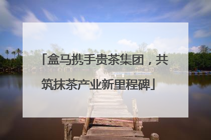盒马携手贵茶集团，共筑抹茶产业新里程碑