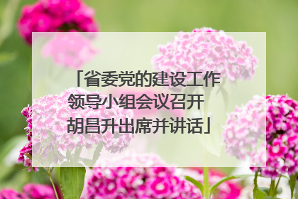 省委党的建设工作领导小组会议召开 胡昌升出席并讲话