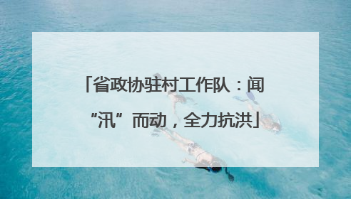 省政协驻村工作队：闻“汛”而动，全力抗洪