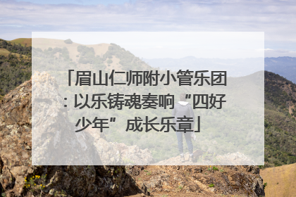 眉山仁师附小管乐团：以乐铸魂奏响“四好少年”成长乐章