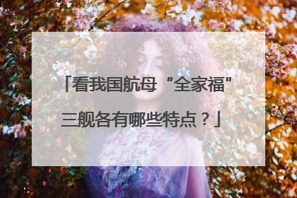 看我国航母“全家福” 三舰各有哪些特点？