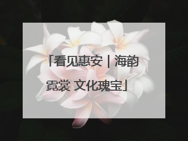 看见惠安｜海韵霓裳 文化瑰宝