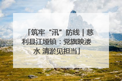 筑牢“汛”防线｜慈利县江垭镇：党旗映溇水 清淤见担当