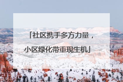 社区携手多方力量，小区绿化带重现生机