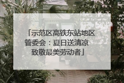 示范区高铁东站地区管委会：夏日送清凉 致敬最美劳动者