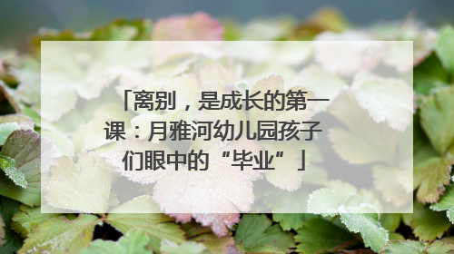 离别，是成长的第一课：月雅河幼儿园孩子们眼中的“毕业”