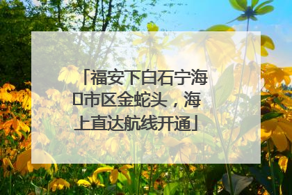 福安下白石宁海⇆市区金蛇头，海上直达航线开通