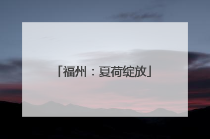 福州：夏荷绽放