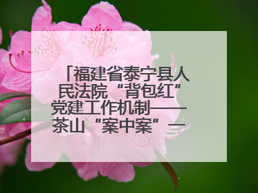 福建省泰宁县人民法院“背包红”党建工作机制——茶山“案中案”一揽子了结