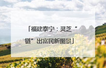 福建泰宁：灵芝“链”出富民新图景