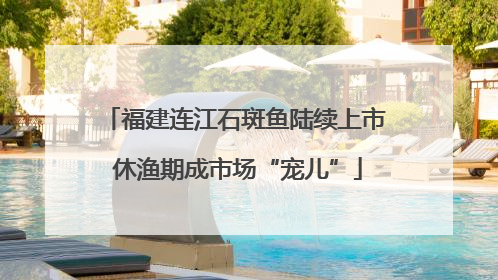 福建连江石斑鱼陆续上市 休渔期成市场“宠儿”