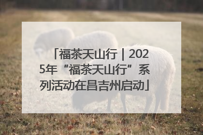 福茶天山行｜2025年“福茶天山行”系列活动在昌吉州启动
